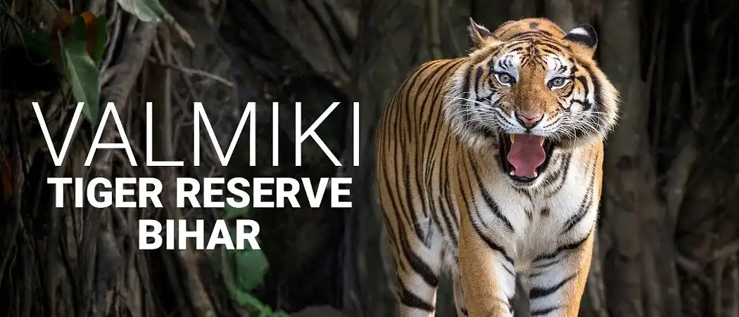Valmiki Tiger Reserve