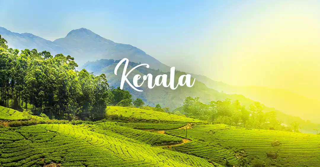 Kerala Tour: Unlocking the Treasures of India's