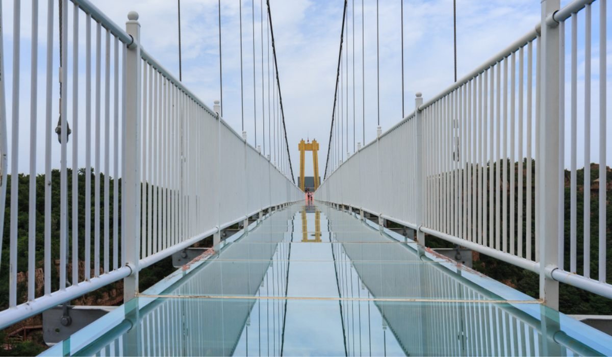 Rajgir Glass Bridge: 10 Jaw-Dropping Facts You Must Know Before Visiting!